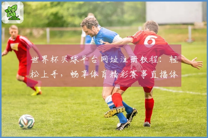 世界杯买球平台网址注册教程：轻松上手，畅享体育精彩赛事直播体验