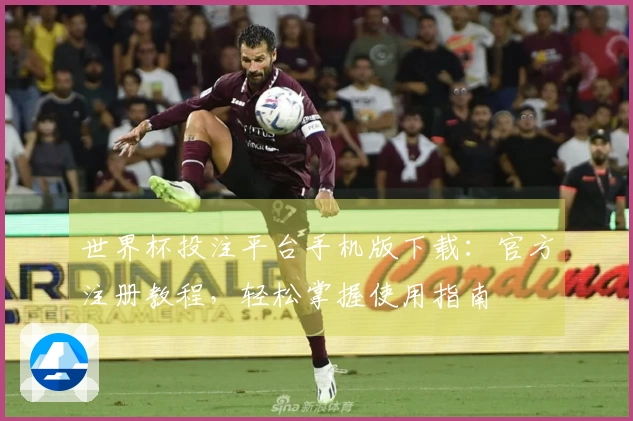 世界杯投注平台手机版下载：官方注册教程，轻松掌握使用指南