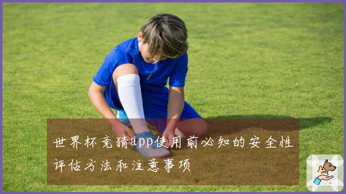 世界杯竞猜app使用前必知的安全性评估方法和注意事项