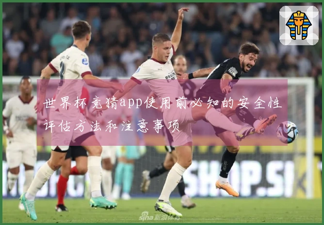 世界杯竞猜app使用前必知的安全性评估方法和注意事项