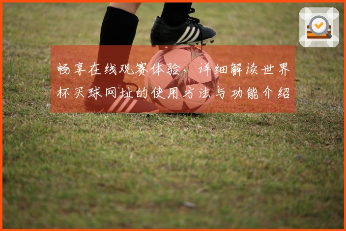 畅享在线观赛体验，详细解读世界杯买球网址的使用方法与功能介绍