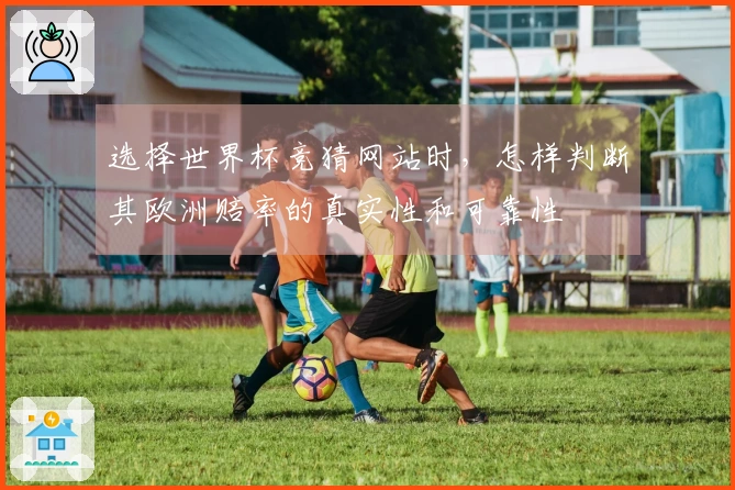 选择世界杯竞猜网站时，怎样判断其欧洲赔率的真实性和可靠性