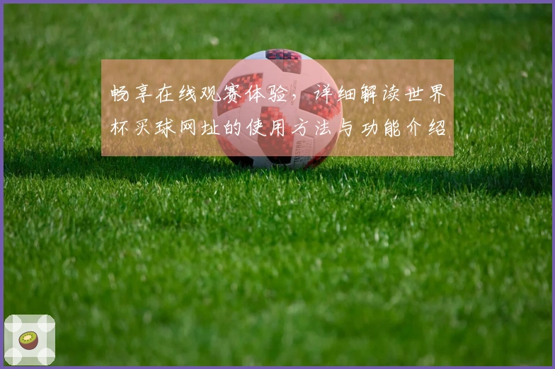 畅享在线观赛体验，详细解读世界杯买球网址的使用方法与功能介绍